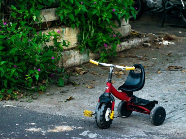 1405485487 wp683582c5d92f79.86775471